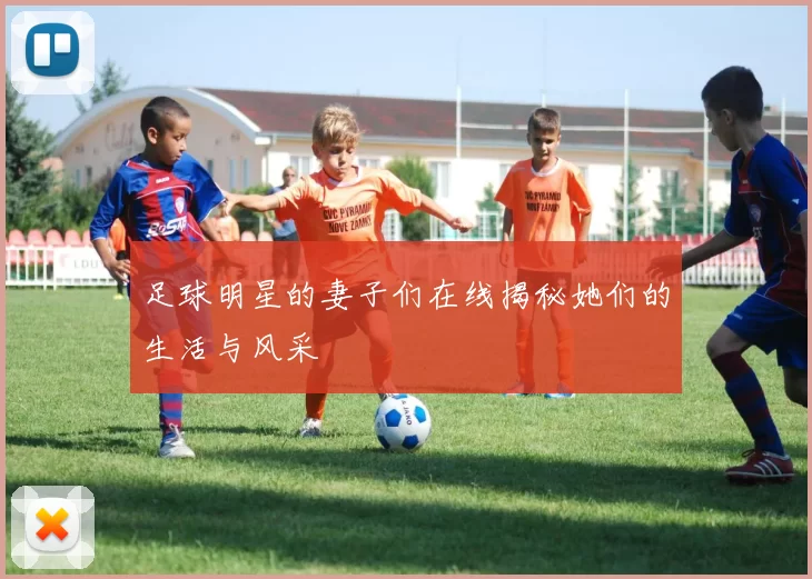 足球明星的妻子们在线揭秘她们的生活与风采